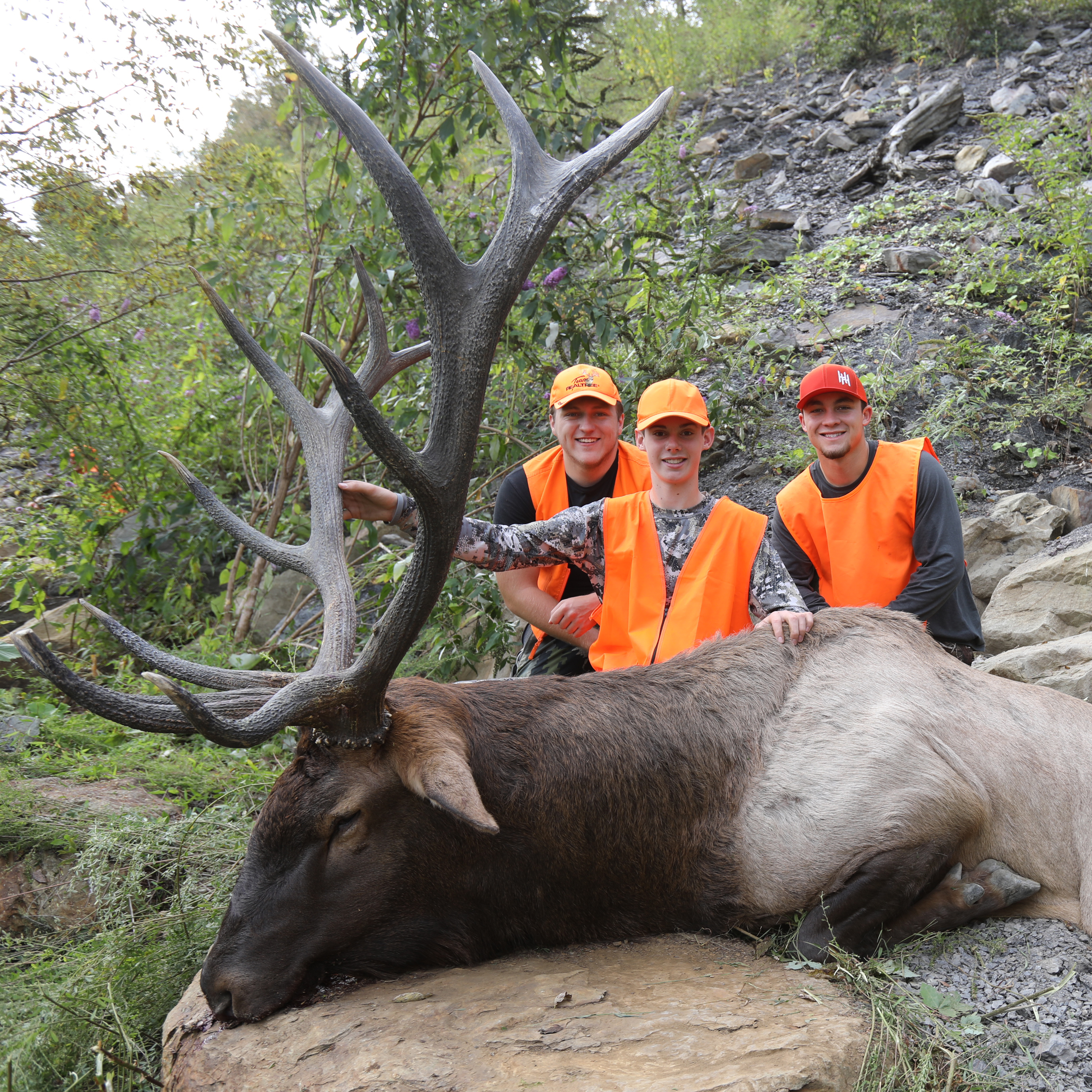 Trophy shot showing a group of three young men standing above a bull elk